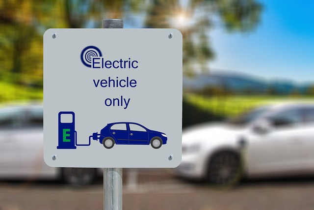 The EV market has exploded with options ranging from tiny budget city commuters to ultra-luxury SUVs.